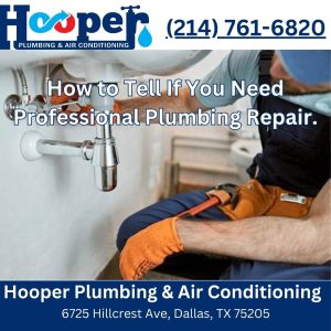 How to Tell If You Need Professional Plumbing Repair