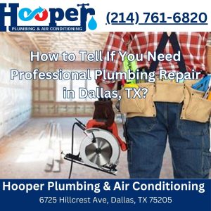 How to Tell If You Need Professional Plumbing Repair in Dallas, TX?