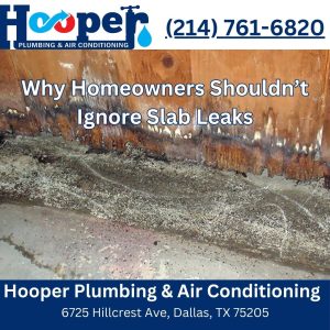 Why Homeowners Shouldn’t Ignore Slab Leaks