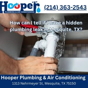 How can I tell if I have a hidden plumbing leak in Mesquite, TX?