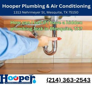 How can I tell if I have a hidden plumbing leak in Mesquite, TX?
