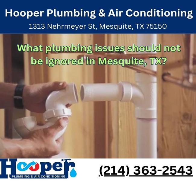 What plumbing issues should not be ignored in Mesquite, TX?