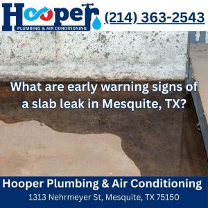 What are early warning signs of a slab leak in Mesquite, TX?