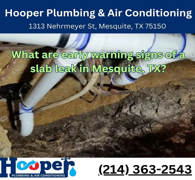 What are early warning signs of a slab leak in Mesquite, TX?