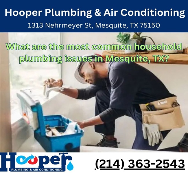 What are the most common household plumbing issues in Mesquite, TX?