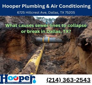 What causes sewer lines to collapse or break in Dallas, TX?