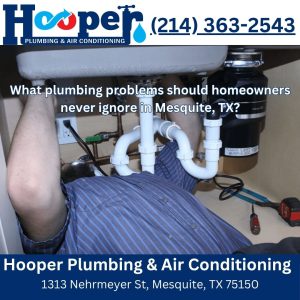 What plumbing problems should homeowners never ignore in Mesquite, TX?