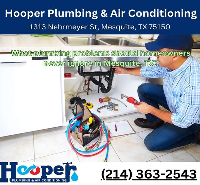 What plumbing problems should homeowners never ignore in Mesquite, TX?