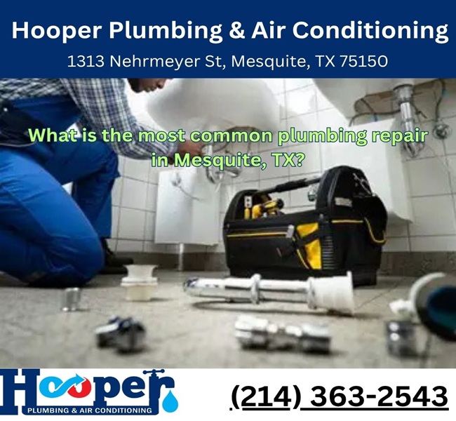What is the most common plumbing repair in Mesquite, TX?