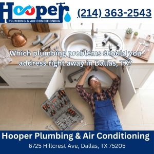 Which plumbing problems should you address right away in Dallas, TX?