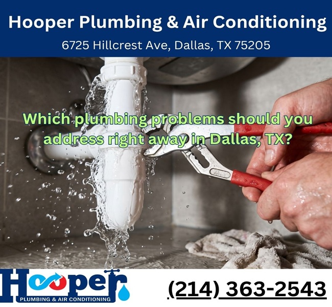 Which plumbing problems should you address right away in Dallas, TX?