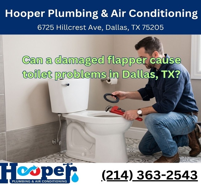 Can a damaged flapper cause toilet problems in Dallas, TX?
