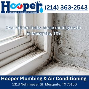 Can hidden leaks cause mold growth in Mesquite, TX?