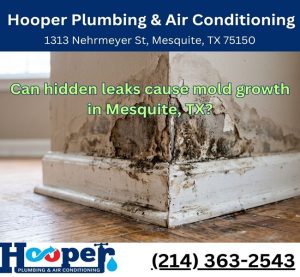 Can hidden leaks cause mold growth in Mesquite, TX?