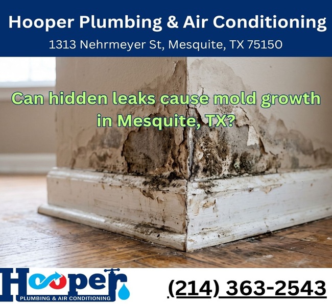Can hidden leaks cause mold growth in Mesquite, TX?