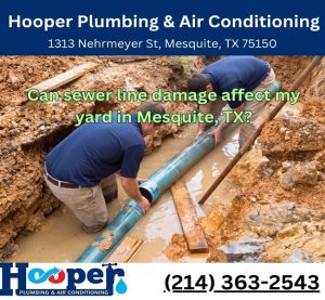 Can sewer line damage affect my yard in Mesquite, TX?