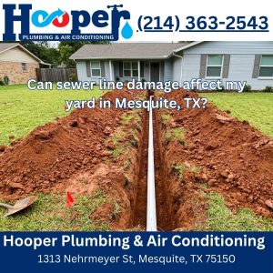 Can sewer line damage affect my yard in Mesquite, TX?